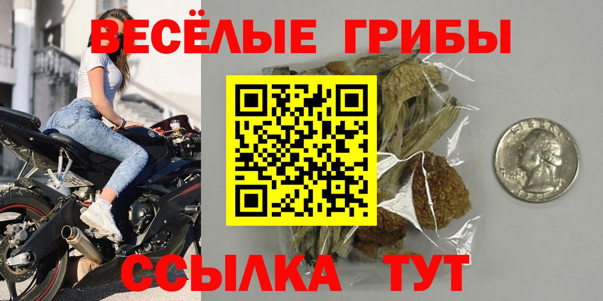 Владикавказ  Псилоцибиновые грибы Magic Shrooms  Псилоцибиновые грибы GOLDEN TEACHER  закладки  Вход с VPN 